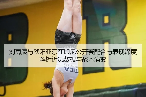 刘雨辰与欧阳亚东在印尼公开赛配合与表现深度解析近况数据与战术演变